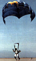 Rogallo Wing type parachute